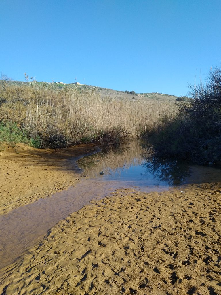 Watercourse from a different angle