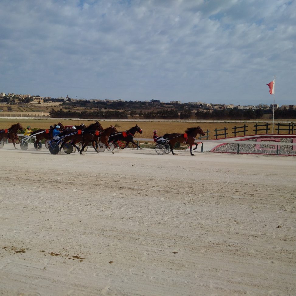 Gozo Racecourse