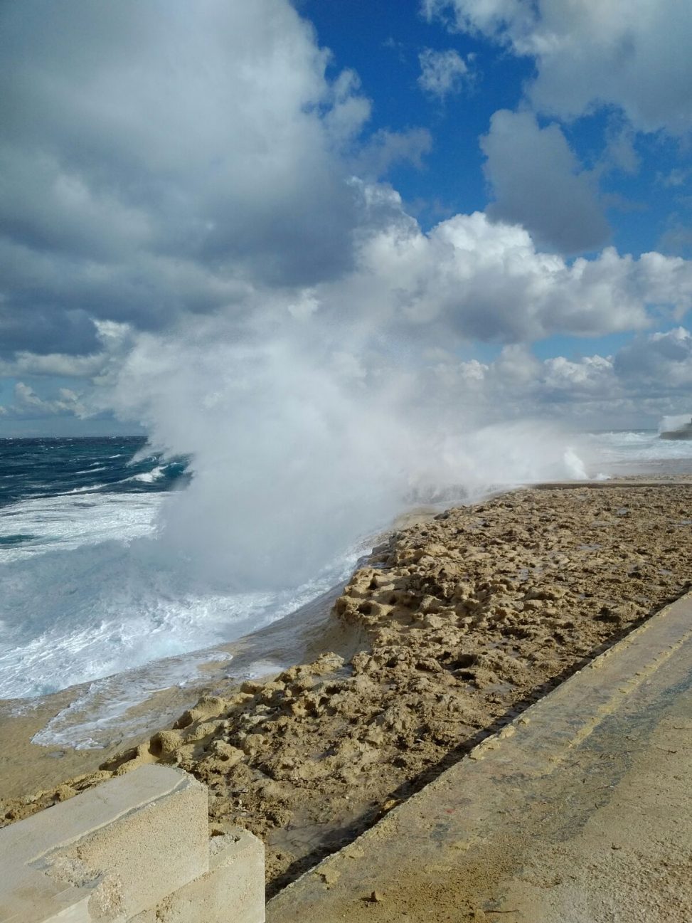 Gozo nature show