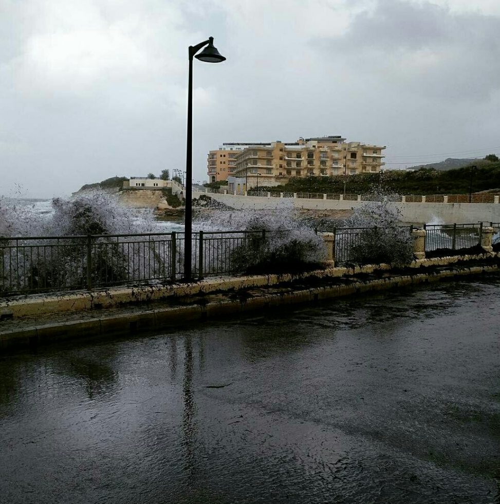 Algae makes the sea waves black